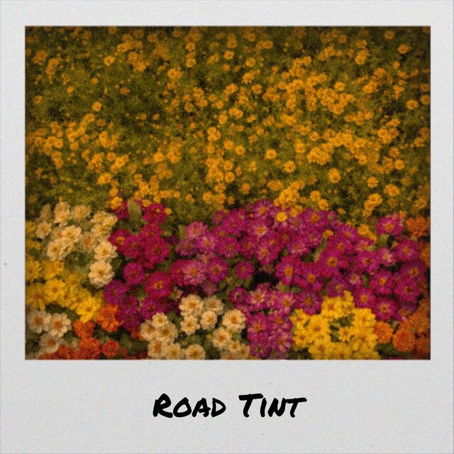 Road Tint