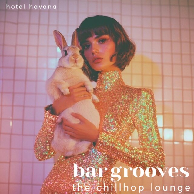 bar grooves : the chillhop lounge