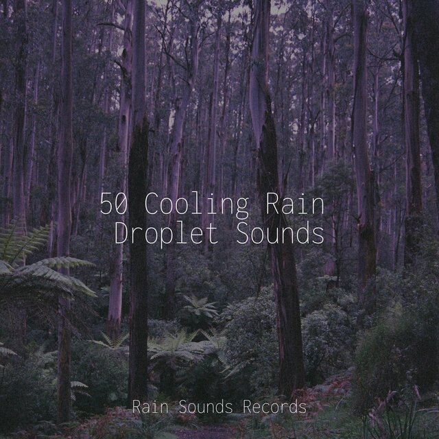 50 Cooling Rain Droplet Sounds