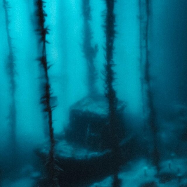 shipwrecks and mistakes