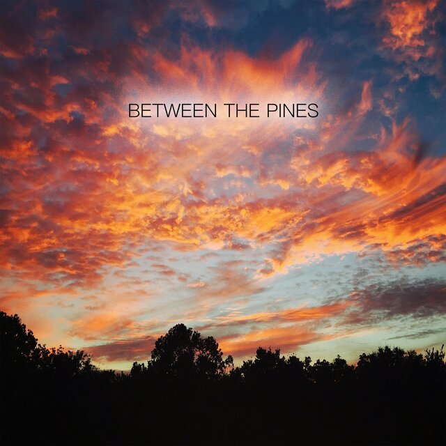 Between the Pines