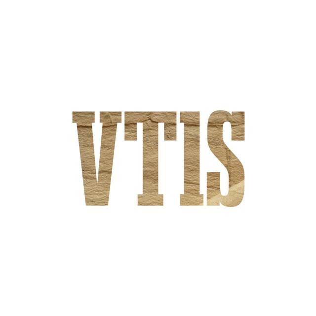 VT1S
