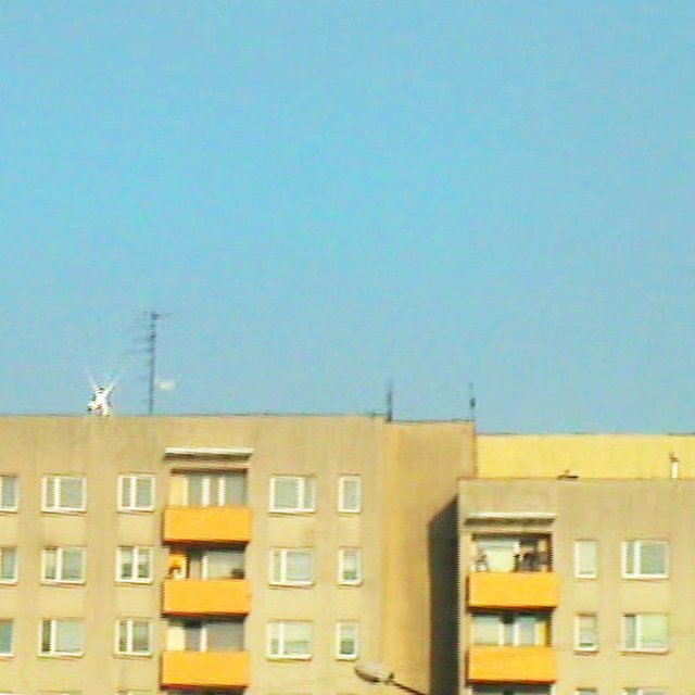 TYCHY
