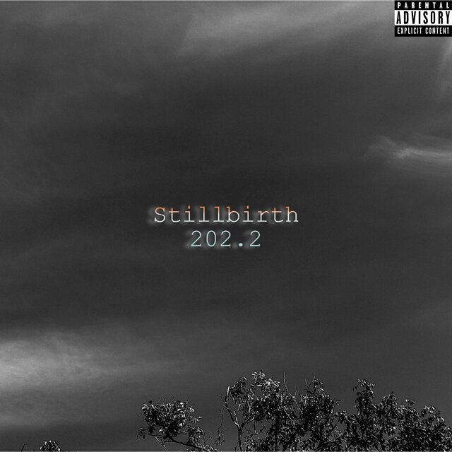 Stillbirth