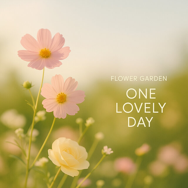 One Lovely Day