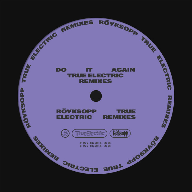 Do It Again (True Electric Remixes)