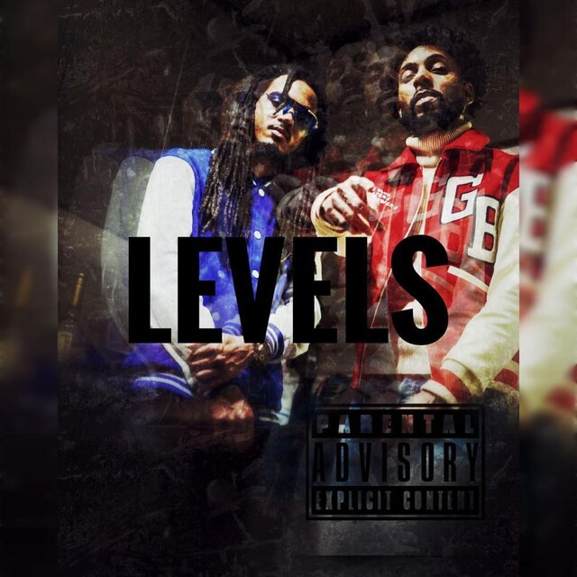 Levels (feat. MODI3ST)
