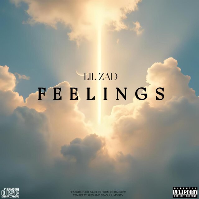 FEELINGS