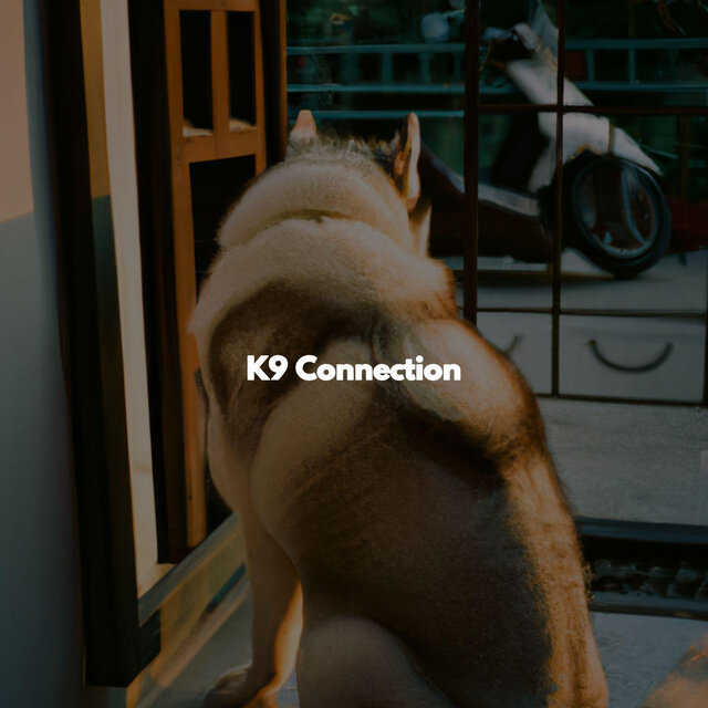 K9 Connection