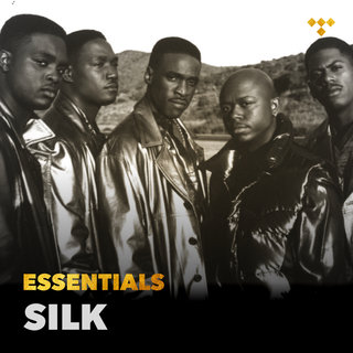 SILK - TIDAL