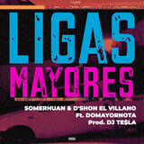 Ligas Mayores