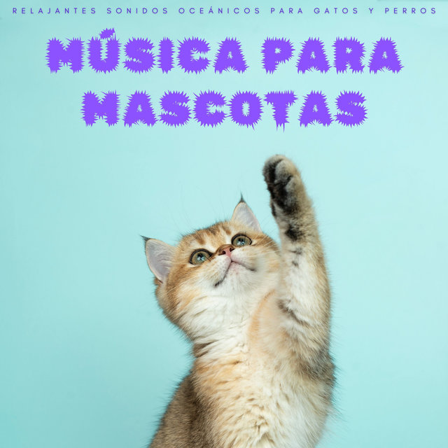 Música Para Mascotas: Relajantes Sonidos Oceánicos Para Gatos y Perros