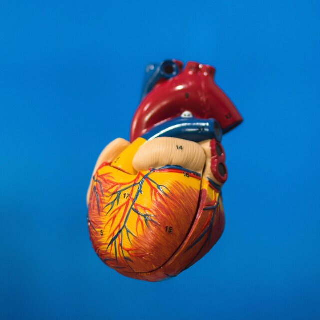 The Heart Of It All!!! (A New Age Electronic Symphony)
