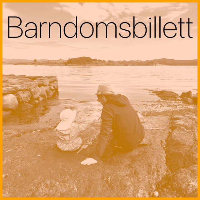 Barndomsbillett