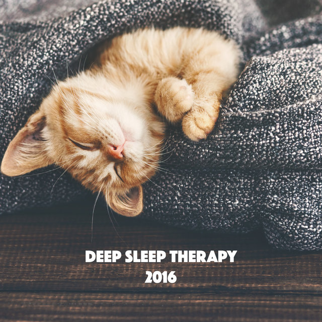 Deep Sleep Therapy 2016