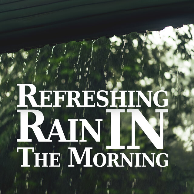Refreshing Rain in The Morning