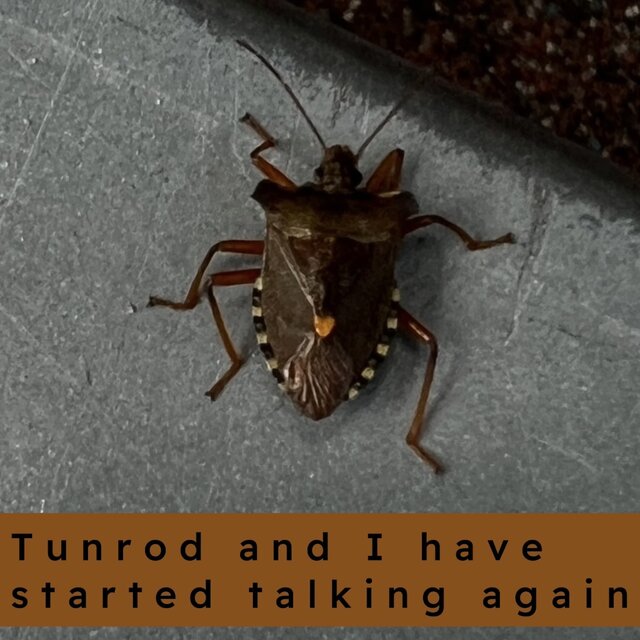 Tunrod and I have started talking again