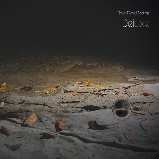 This Past Year DELUXE