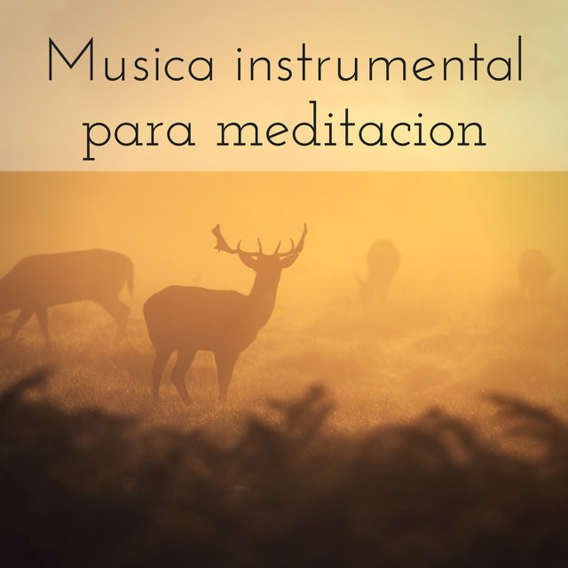Musica instrumental para meditacion – Sonidos de la naturaleza con piano y flauta par concentracion, zen, ayurveda, zen yoga