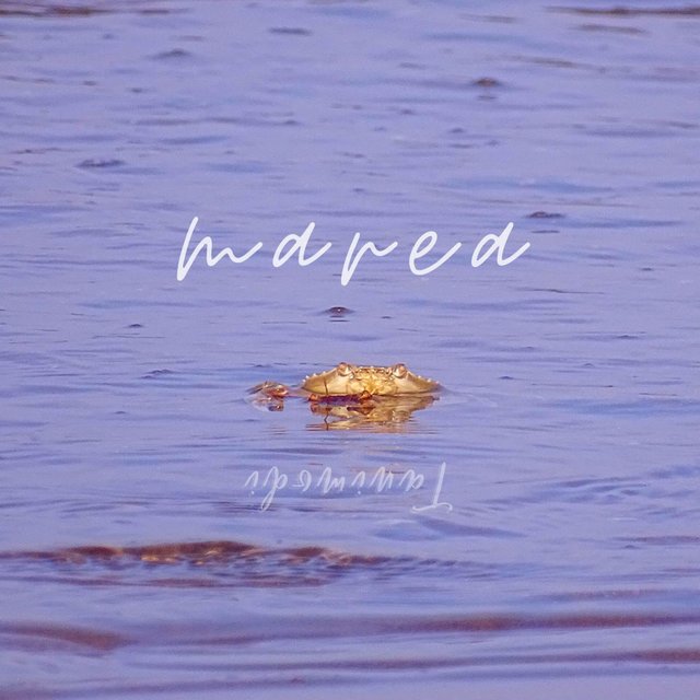 Marea
