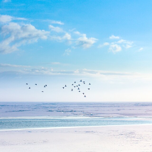 The Calm