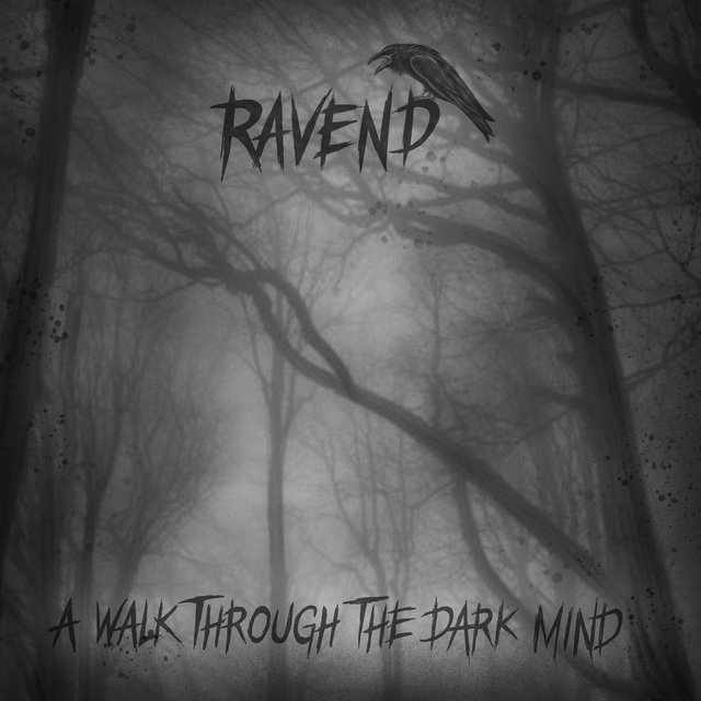 A Walk Through the Dark Mind