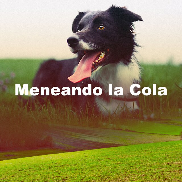 Meneando la Cola