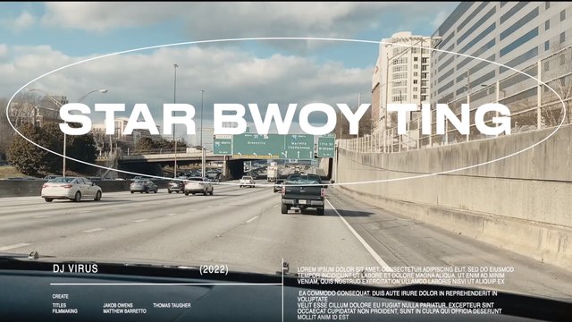 Star Bwoy Ting