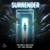 Surrender (Radio Mix)