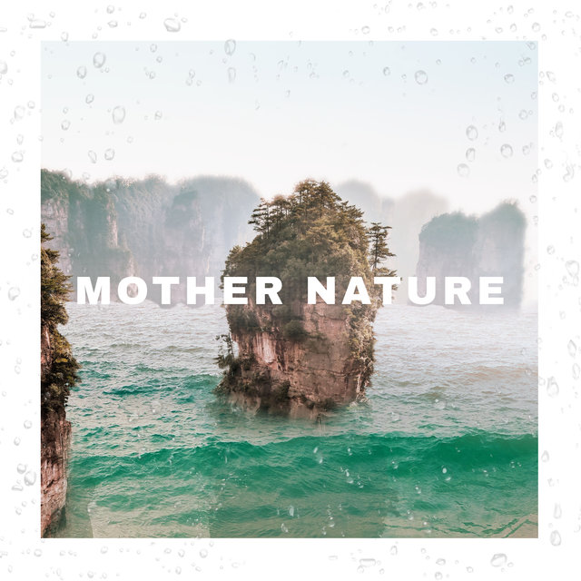 Mother Nature Beach Birds