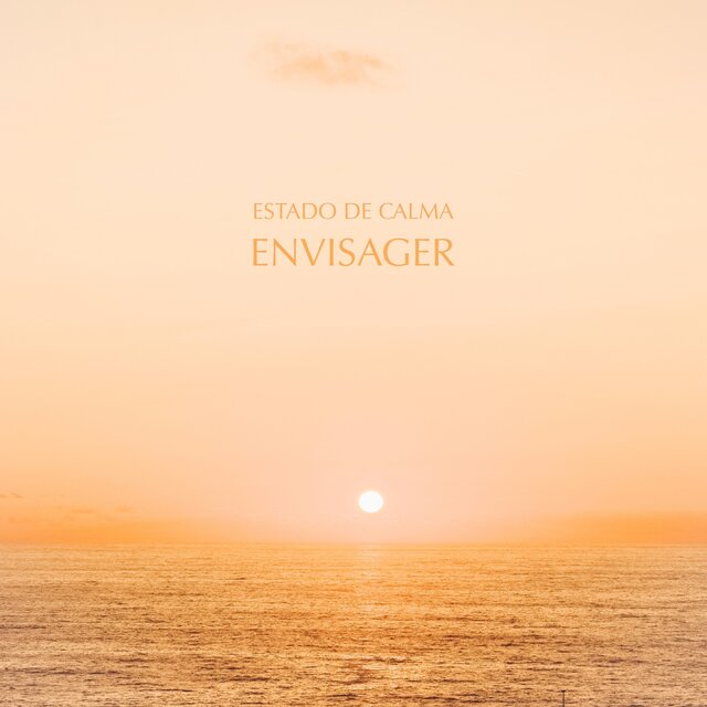 Envisager