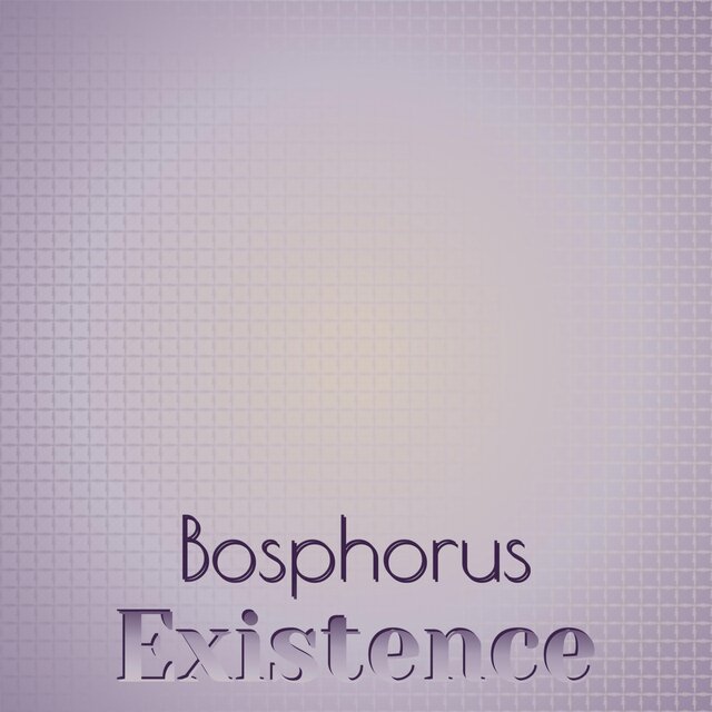 Bosphorus Existence