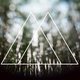 Cover art for album Woven Roots by Oaken Voices