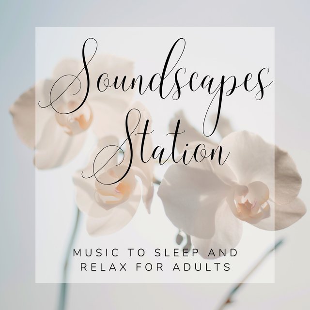 Soundscapes Station - Music to Sleep and Relax for Adults