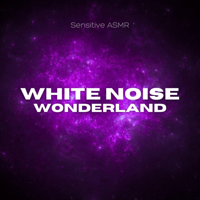 White Noise Wonderland