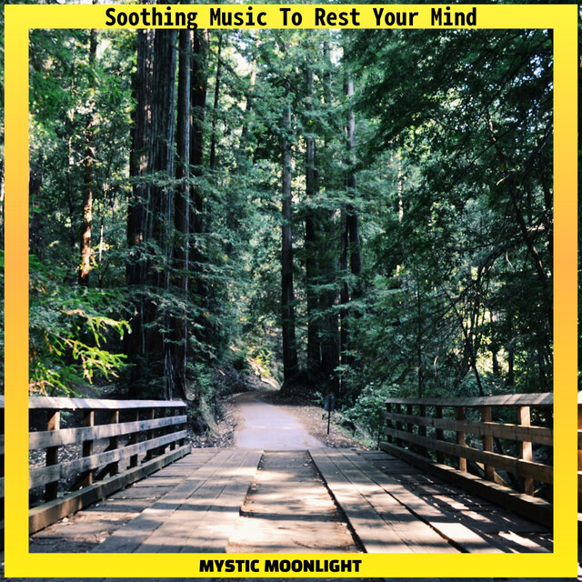 Soothing Music To Rest Your Mind