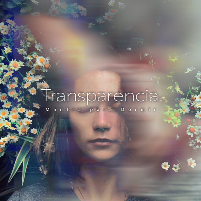 Transparencia