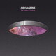 Cover art for album The Shores of Infinity by Menagerie
