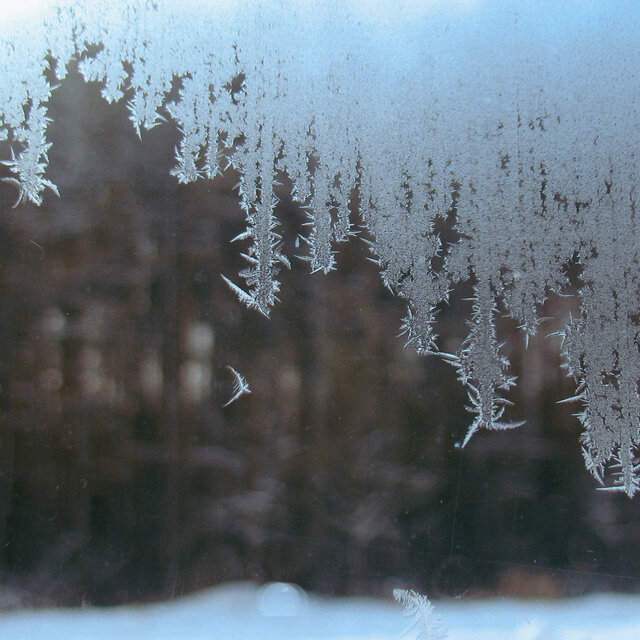 Snow Day