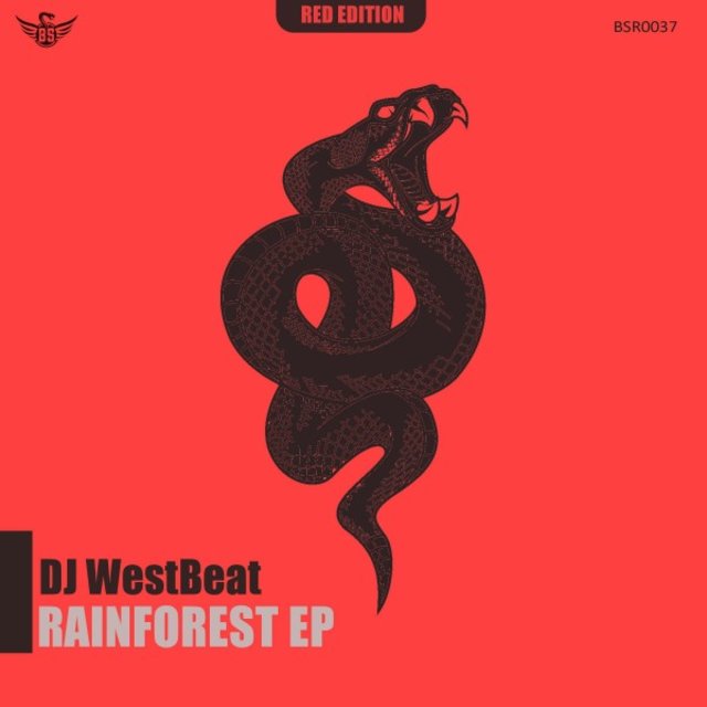 Rainforest