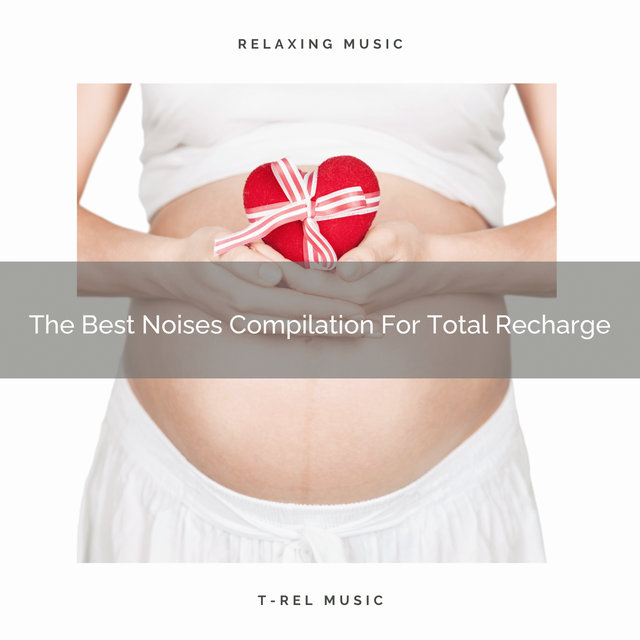 The Best Noises Compilation For Total Recharge