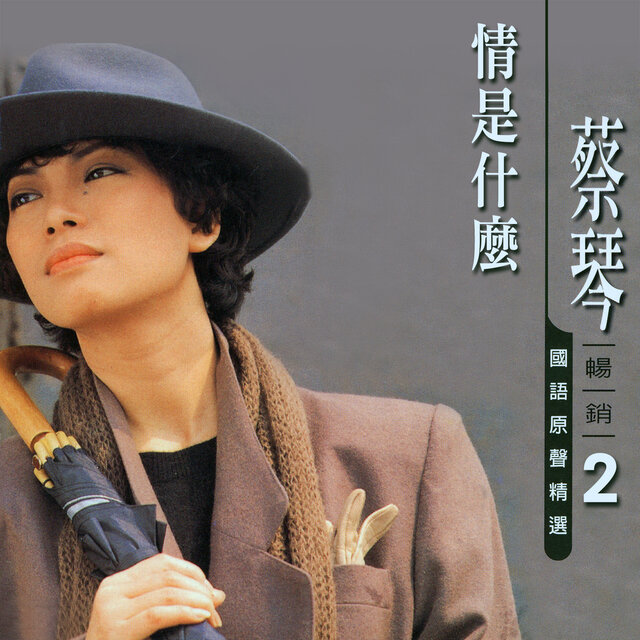情是什麼 (蔡琴國語原聲暢銷精選2)