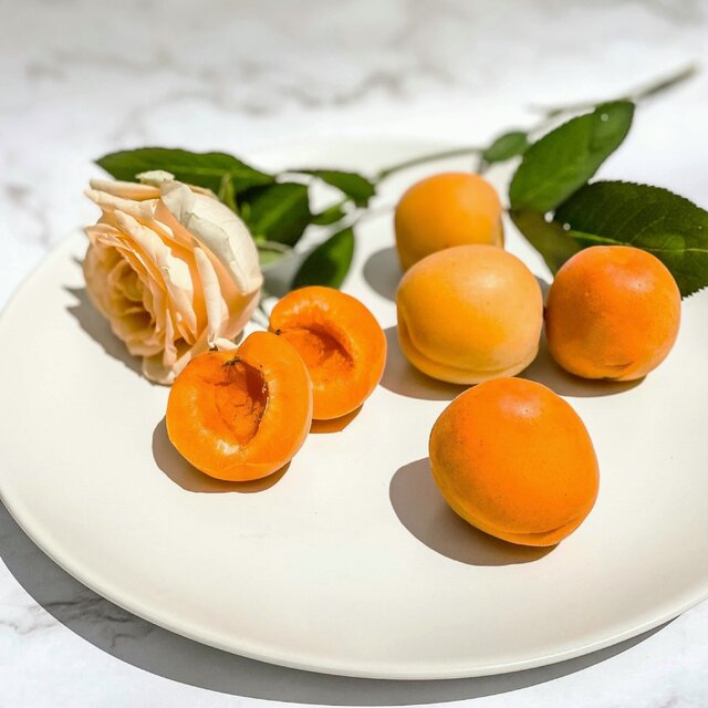Soft Apricot Morning