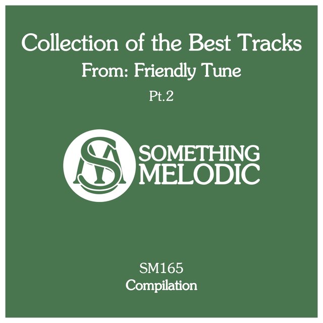 Collection of the Best Tracks From: Friendly Tune, Pt. 2