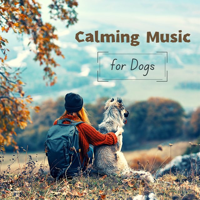 Calming Music for Dogs - Helps with Dog Anxiety, Separation, Barking, Stress Relief