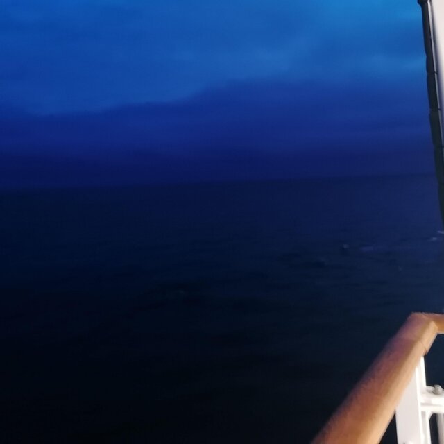 Into Night