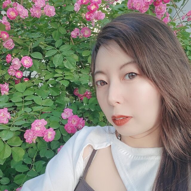 澎湃归来