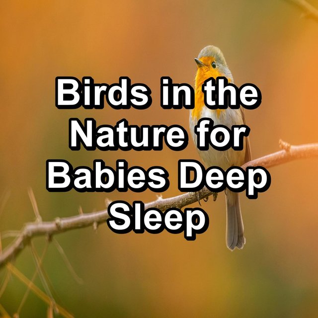 Birds in the Nature for Babies Deep Sleep