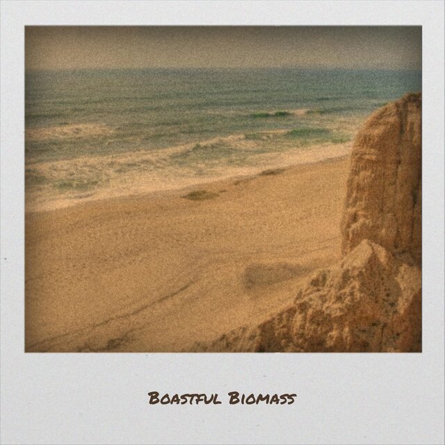 Boastful Biomass