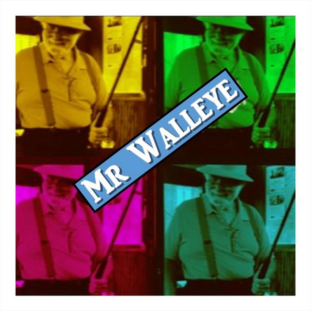 Mr. Walley